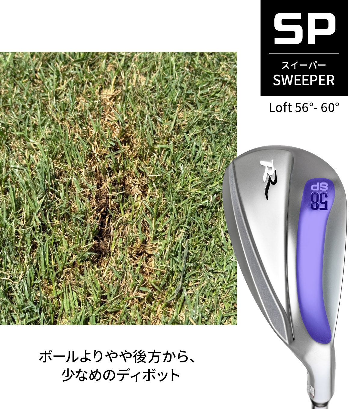 SP