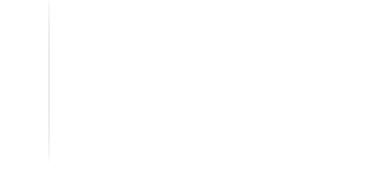 特徴